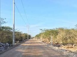  Grundstück zu verkaufen in Baca, Yucatan, Baca
