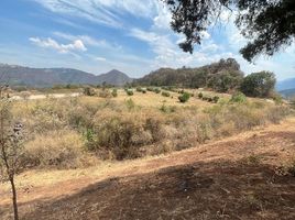  Grundstück zu verkaufen in Joquicingo, Mexico, Joquicingo