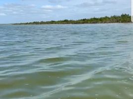  Grundstück zu verkaufen in Othon P Blanco, Quintana Roo, Othon P Blanco