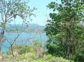 Terreno (Parcela) en venta en Jose Azueta, Guerrero, Jose Azueta