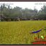  Land for sale in Ubud, Gianyar, Ubud