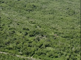 Terrain à vendre à Yaxkukul, Yucatan, Yaxkukul
