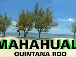  Grundstück zu verkaufen in Othon P Blanco, Quintana Roo, Othon P Blanco