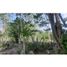  Villa zu verkaufen in Sucila, Yucatan, Sucila