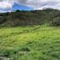  Land for sale in Loja, Malacatos Valladolid, Loja, Loja