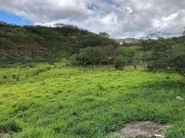  Land for sale in Loja, Malacatos Valladolid, Loja, Loja