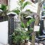 3 Bedroom Villa for rent in Dong Da Hanoi, Nga Tu So
