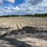 Land for sale in Dolores Hidalgo, Guanajuato, Dolores Hidalgo