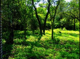  Terreno (Parcela) en venta en Caleu Caleu, La Pampa, Caleu Caleu