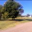  Terreno (Parcela) en venta en Caleu Caleu, La Pampa, Caleu Caleu