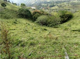  Terreno (Parcela) en venta en Barbosa, Antioquia, Barbosa