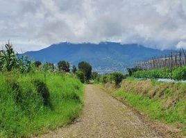  Tanah for sale in Malang Regency, East Jawa, Bumiaji, Malang Regency