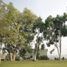  Land for sale in Huimilpan, Queretaro, Huimilpan