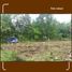  Land for sale in Sedayu, Bantul, Sedayu