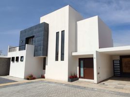 Maison 3 chambre à vendre à Toluca, Mexico, Toluca