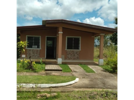 2 Schlafzimmer Haus zu verkaufen in Penonome, Cocle, Rio Grande, Penonome, Cocle