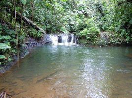  Terreno (Parcela) en venta en Pedro Vicente Maldonado, Pichincha, Pedro Vicente Maldonado, Pedro Vicente Maldonado