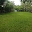  Land for sale in Comalcalco, Tabasco, Comalcalco