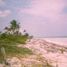  Grundstück zu verkaufen in Othon P Blanco, Quintana Roo, Othon P Blanco