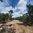  Grundstück zu verkaufen in Cozumel, Quintana Roo, Cozumel, Quintana Roo, Mexiko