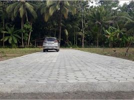  Land for sale in Bantul, Yogyakarta, Sedayu, Bantul