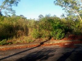  Land for sale in Consolacion, Cebu, Consolacion