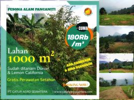  Land for sale in Bogor Selatan, Bogor, Bogor Selatan