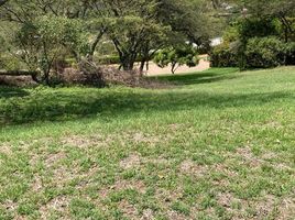  Land for sale in Cumbaya, Quito, Cumbaya