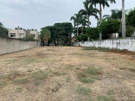  Land for sale in Samborondon, Guayas, Samborondon, Samborondon