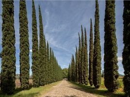  Terreno (Parcela) en venta en Huimilpan, Querétaro, Huimilpan