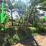  Land for sale in Lembang, West Jawa, Lembang, Bandung