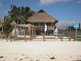  Grundstück zu verkaufen in Cozumel, Quintana Roo, Cozumel