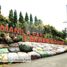  토지을(를) Morong, Calabarzon에서 판매합니다., Morong