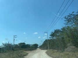 Terreno (Parcela) en venta en Merida, Yucatán, Merida, Yucatán