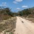  Terreno (Parcela) en venta en Merida, Yucatán, Merida, Yucatán