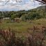  Land for sale in Del Centro, Oaxaca, Del Centro