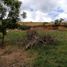 Land for sale in Del Centro, Oaxaca, Del Centro