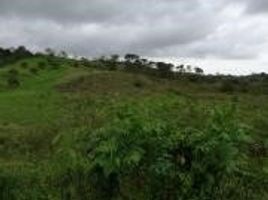  Terrain for sale in Muisne, Esmeraldas, Muisne, Muisne