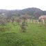  Land for sale in Charo, Michoacan, Charo