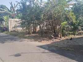  Land for sale in Pajangan, Bantul, Pajangan