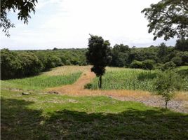  Land for sale in El Higo, San Carlos, El Higo