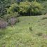  Land for sale in Caldas, Manizales, Caldas