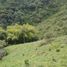  Land for sale in Caldas, Manizales, Caldas