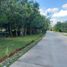  Land for sale in Cancun Quintana Roo, Cancun