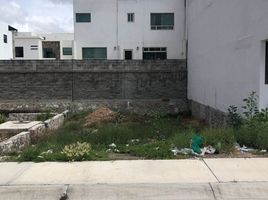  Terreno (Parcela) en venta en San Agustin Tlaxiaca, Hidalgo, San Agustin Tlaxiaca