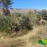  Land for sale in Chacabuco, San Luis, Chacabuco