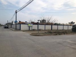  Terreno (Parcela) en alquiler en Altamira, Tamaulipas, Altamira, Tamaulipas