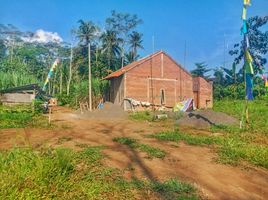  Land for sale in Malang Regency, East Jawa, Ngajum, Malang Regency