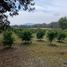  Land for sale in Tlalnepantla, Morelos, Tlalnepantla