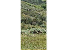  Land for sale in Marinilla, Antioquia, Marinilla